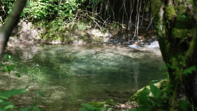 Parco delle Cascate di Molina: tour e aperitivo facoltativo