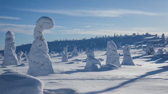 Пеший поход по национальному парку Рииситунтури с фотографом