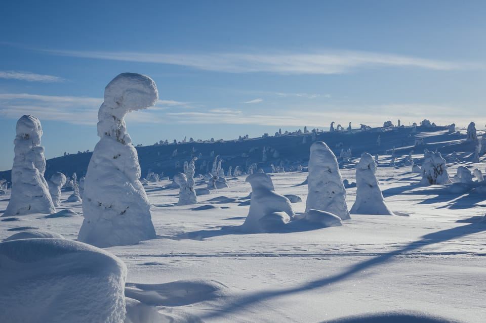 เดินป่าที่อุทยานแห่งชาติ Riisitunturi กับช่างภาพ