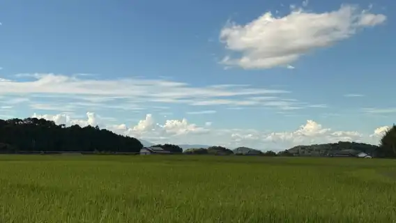 Nara: Asuka, Ancient Capital & Future Heritage Private Tour