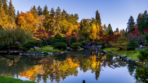 西雅圖一日遊：凱瑞公園+煤氣廠公園+探索公園+華盛頓公園植物園