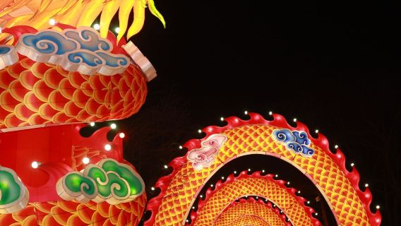 長春動植物公園+偽滿皇宮博物院+長春北湖公園一日遊