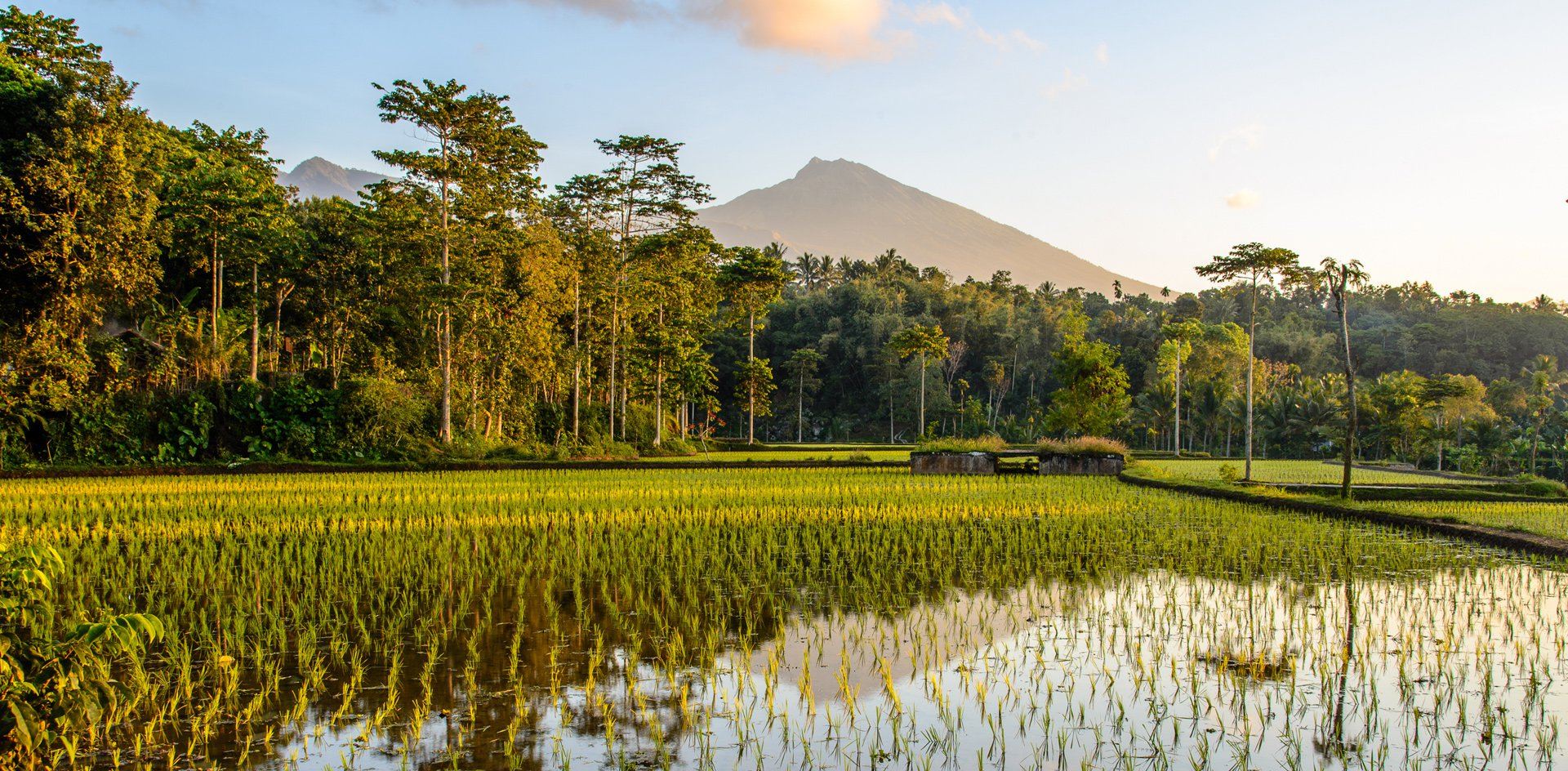 Lombok Hills Cycling Tour (Down the hills of Tete Batu, Rice Field Experience - No Lunch) 
