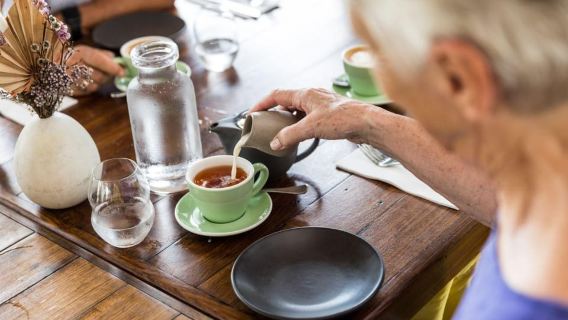 Cairns: Cairns City Sights & Surrounds Half Day Tour