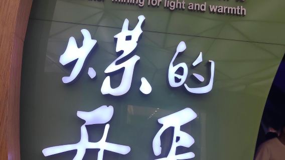 однодневный тур по древнему городу Датун, международному горному парку Цзиньхуагонг и мемориалу жертв угольной шахты с услугами на китайском и английском языках