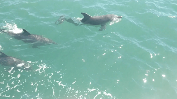 Piratenkreuzfahrt in Mandurah