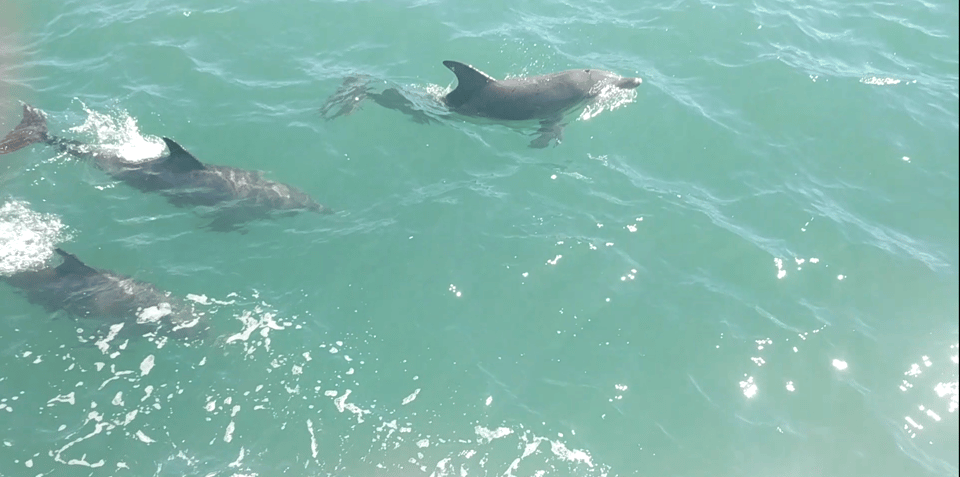 Пиратский круиз по Мандуре