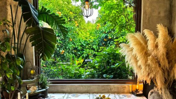 濟州島柱狀節理帶+西歸浦潛水艇+橘子咖啡店南線包車一日遊