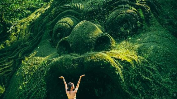 Tour giornaliero nel centro di Bali: risaie di Tegallalang, foresta delle scimmie sacre e grotta degli elefanti