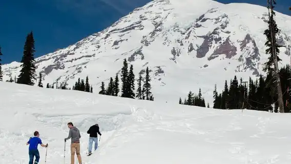 ทัวร์ภูเขาเรนเนียร์หนึ่งวันจากซีแอตเทิล