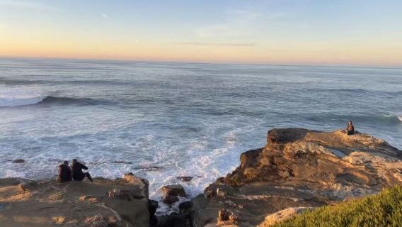 洛杉磯太平洋水族館+唐人街+長灘+星光大道一日遊