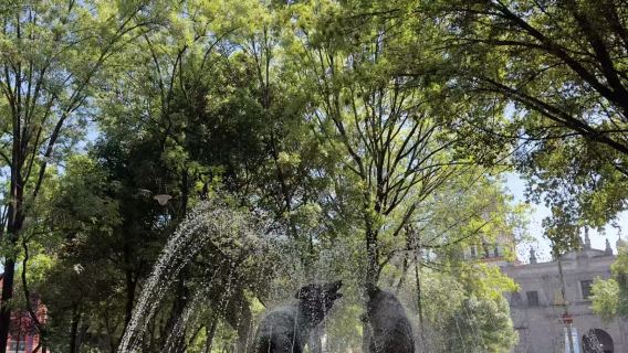 墨西哥城科約阿坎-芙烈達卡蘿博物館- UNAM大學城一日遊
