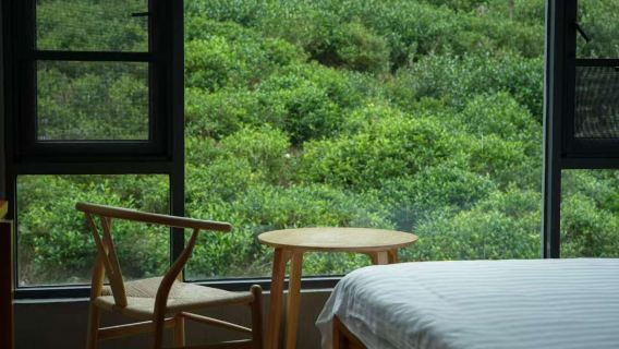 【武夷山桐木茶宿兩天一夜】探秘月亮灣/青龍大瀑布/野猴谷