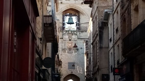 Francia - Burdeos | Acompañamiento de traducción | Guía turístico local | Ferias | Visitas comerciales | Servicios de recepción local | (Personalizable)