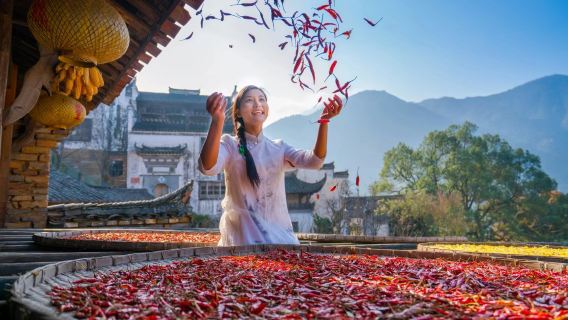 五源黄嶺+ライケンワンデーツアー【オプション6人小グループ/純粋なツアー/高品質/ゆったりと多くの好評】