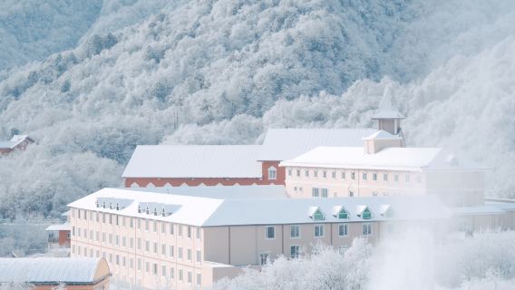 成都出發：西嶺雪山包車1日遊
