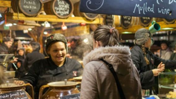 Brussels: Christmas Lights Tour