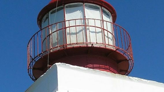 Southwest Madeira: Guided 4x4 Jeep Tour + Rum & Gin Distillery Visit