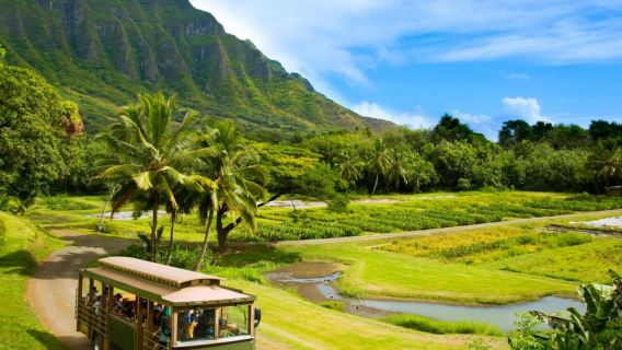 1-Day Tour to Kualoa Ranch in Honolulu, Oahu, Hawaii - Hollywood's Favorite Filming Location