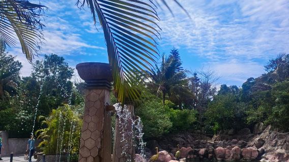 亞龍灣熱帶天堂森林公園-三亞千古情