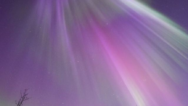 Lawatan sehari sewaan peribadi di Oslo | Taman Patung Vigeland + Dewan Bandaraya + Opera House + Istana Akershus