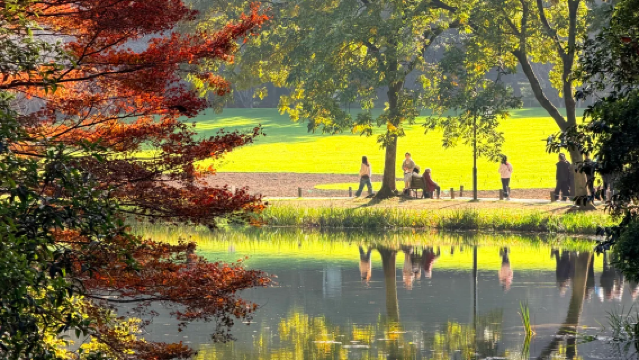 서호(시후)유람선으로 서호 일주 + 태자완(타이쯔완)에서 꽃 감상 + 호숫가 정원에서 애프터눈 티 + 송나라 시대 다도 체험 반나절 투어