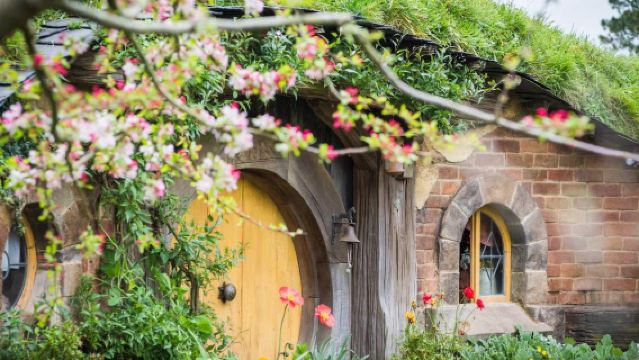 Hobbiton™ Movie Set Tours + Waitomo Glowworm Caves Guided Tour (Auckland - Rotorua)