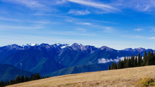Lawatan sehari dari Seattle ke Taman Negara Olympic pergi-balik [Sewaan peribadi dengan pengambilan di tempat dalam bahasa Cina]