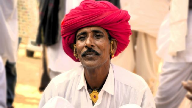 Jodhpur to Jawai Leopard and Crocodile Safari Tour