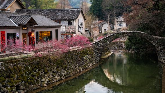 村遊·浙南秘境·岩下石頭村·仙都景區·岩宕書房包車1日