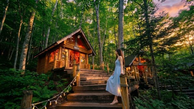 Hokkaido + Asahiyama Zoo + Ningle Terrace + Shirogane Blue Pond (Aoiike) + Shirahige Waterfall 1-day tour