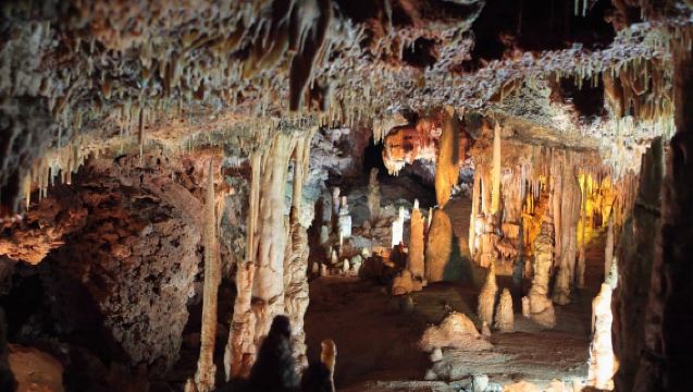 Mallorca: Excursión de medio día a las Cuevas del Drach, el Lago Martel y las perlas