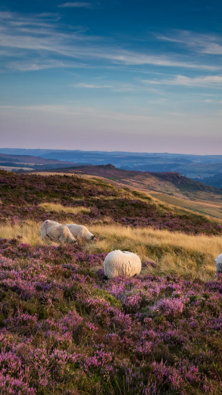 [Chinese-speaking private charter] York/Manchester round-trip: Leeds city center classic highlights + DIY self-selected attractions