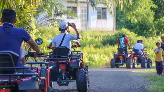 Passeio de meio dia no manguezal do Distrito de Semporna: Macacos-narigudos/Vaga-lumes/ATV no parque ecológico