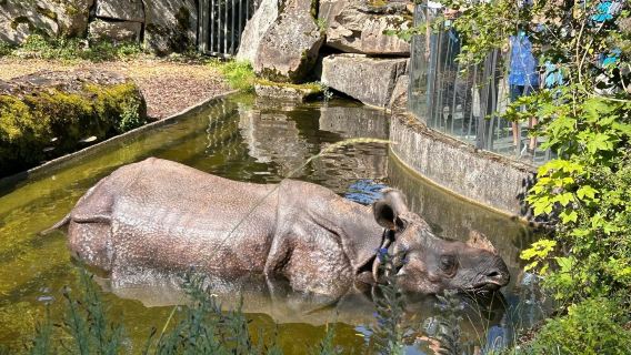 Munich pergi-balik - Zoo - Taman Inggeris - Dunia BMW Bahasa Cina lawatan sewa peribadi keluarga