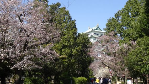 Jepun Istana Nagoya + Atsuta Jingu Shrine + Taman Tokugawa lawatan sehari [Sewaan peribadi dalam bahasa Cina dengan pengangkutan dari rumah]