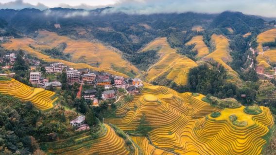 Guilin + Longji Rice Terraces + Huangluo Yao Village + Jinkeng Rice Terraces + Door-to-door pick-up and drop-off (English electronic translation)