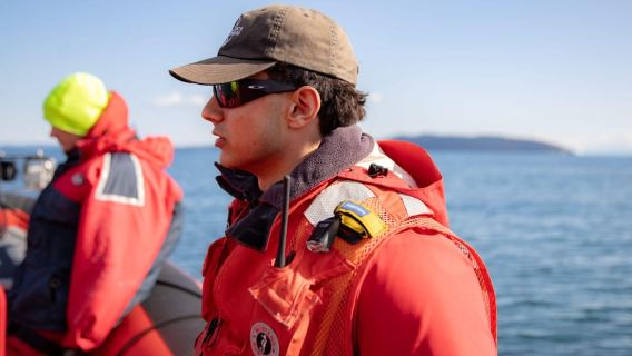 British Columbia: Whale Watching Eco-Adventure Tour