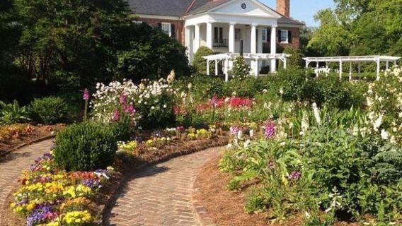Charleston: Boone Hall Plantation & Gardens Entry Ticket