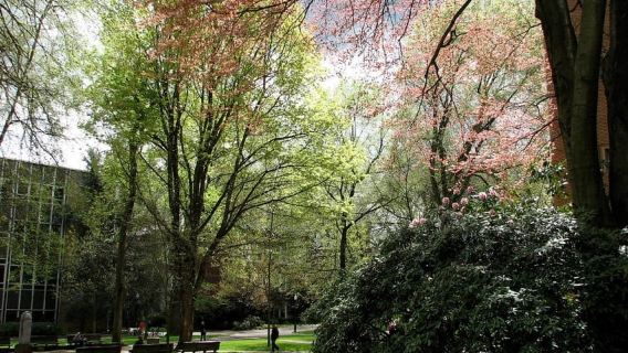 Portland Oregon Discovery Walk (Local Guide)