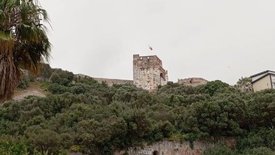 From Seville: Gibraltar Day Trip