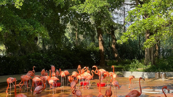Zhaoqing lawatan sehari Tujuh Bintang Batu | Tasik Bintang Tanah Lembap + Kampung Yanqian + Tembok Kota Song + Gerbang Memorial