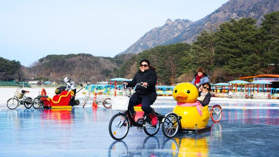 Winter limited: Ice wall cafe + Sanjung Lake + Pocheon Herb Island