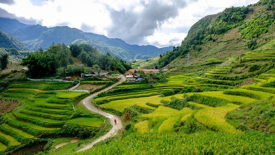 越南邊和市 翻譯|旅遊地陪|商務陪同|展會| 自由行定制包車