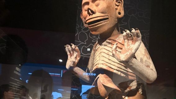 Kumpulan kecil eksklusif 20 orang/kumpulan persendirian Penerangan berpandu pameran 'Puncak Pokok Dunia' di Muzium Shanghai + fon telinga