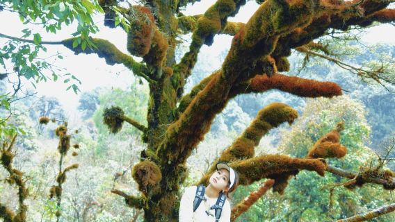 高黎貢山毛毛球徒步+毛毛球廚房1日遊