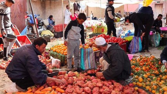 MarrakechTours