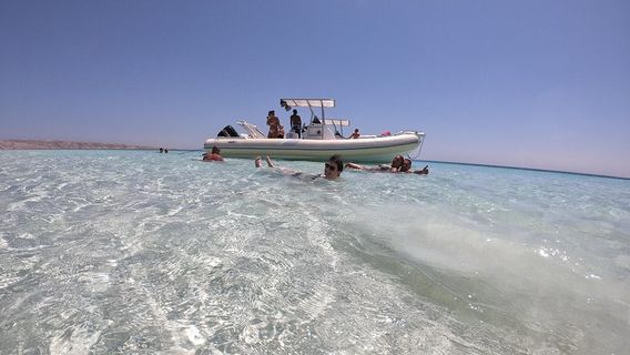 SafagaTours