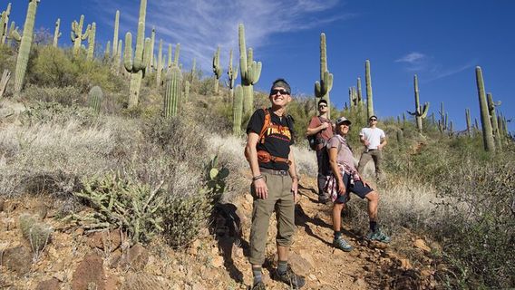 PhoenixTours