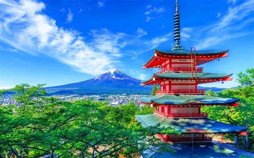 Mount Fuji Day Trip from Tokyo: Instagram-Famous Spot Hopping Mount Fuji Day Trip from Tokyo: Instagram-Famous Spot Hopping